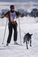 Lenk 2013